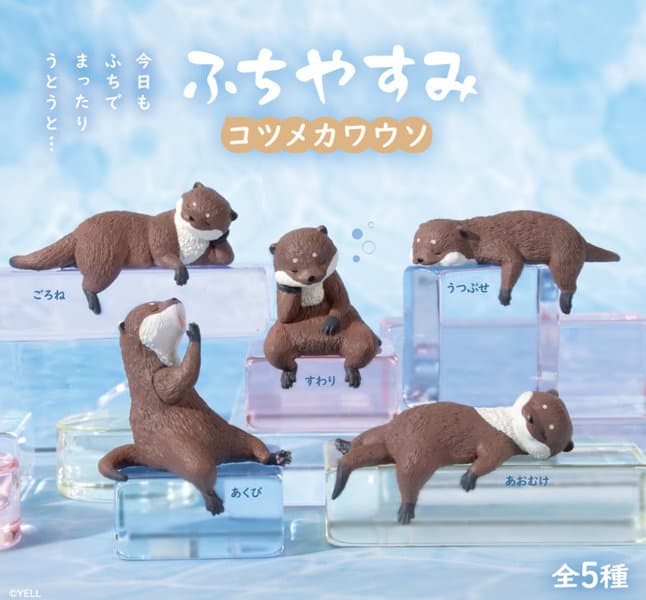 【BOX販売】ふちやすみコツメカワウソ （全5種） 1BOX:10個入