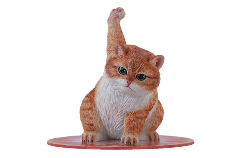 JXKスタジオ スーパーキャット B