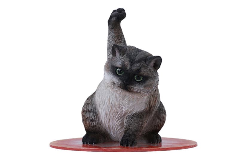 JXKスタジオ スーパーキャット C