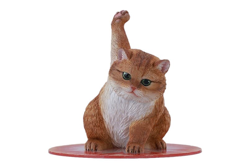JXKスタジオ スーパーキャット D