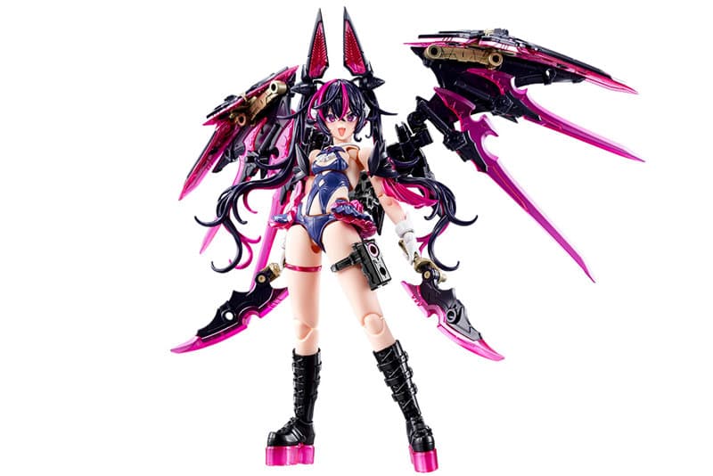 デザイアメイデン レイダー