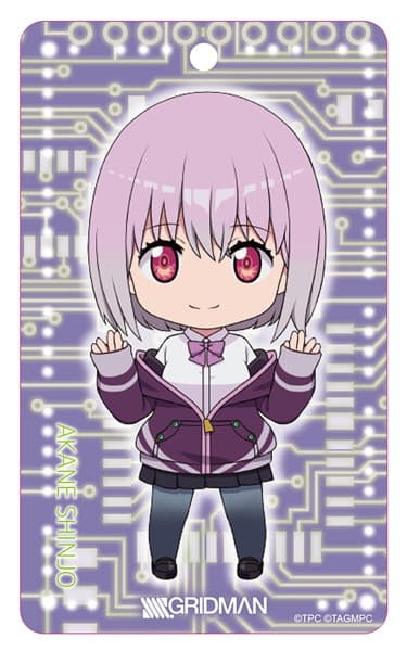 SSSS.GRIDMAN ねんどろいどぷらす アクリルパスケース 新条アカネ