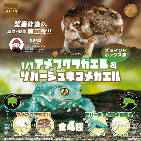 【BOX販売】1/1 アメフクラガエル＆ソバージュネコメガエル（全4種） 1BOX:4個入