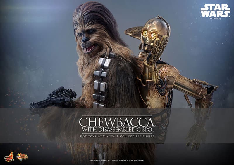 【ムービー・マスターピース】 『スター・ウォーズ エピソード5/帝国の逆襲』1/6スケールフィギュア チューバッカ＆C-3PO（分解）
