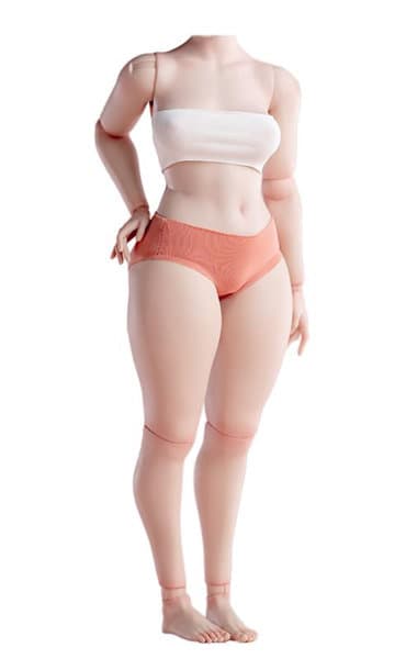ワールドボックス 1/6 ガールズボディ プラスサイズ AT218 ペール