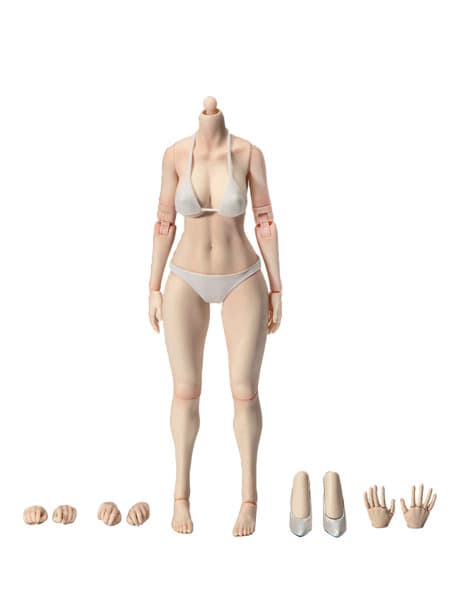 トゥルーワントイズ 1/6 ナローショルダー フィメールボディ ラージバスト ホワイトスキン