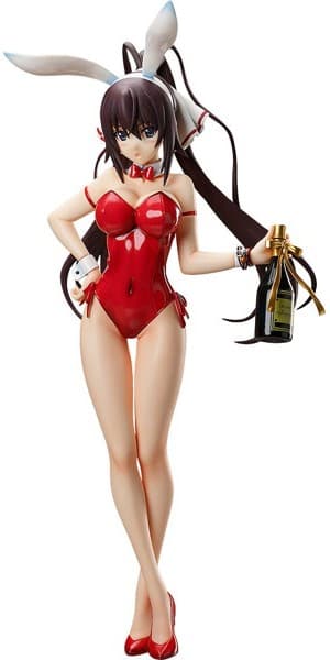 IS<インフィニット・ストラトス> 篠ノ之箒 生足バニーVer.