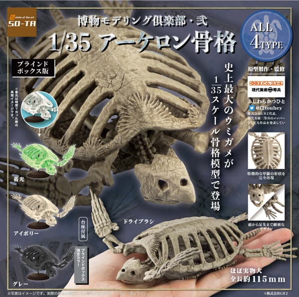 【BOX販売】博物モデリング倶楽部 弐 1/35 アーケロン骨格(全4種) 1BOX:4個入