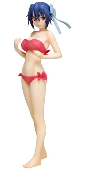 ニセコイ 鶫誠士郎