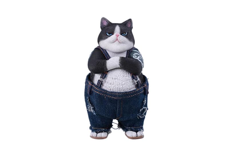 JXKスタジオ タフガイ・キャット A