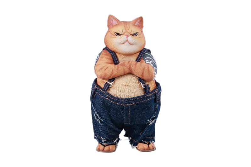 JXKスタジオ タフガイ・キャット B