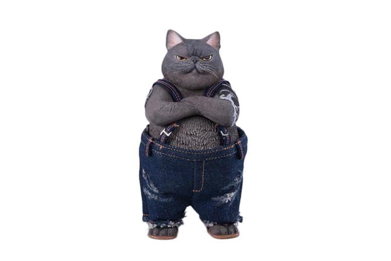 JXKスタジオ タフガイ・キャット C